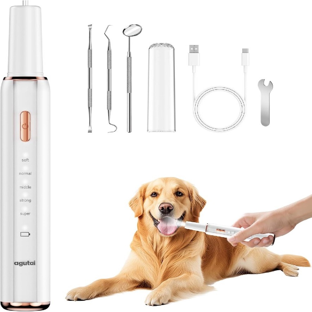 agutai  Dog Plaque···